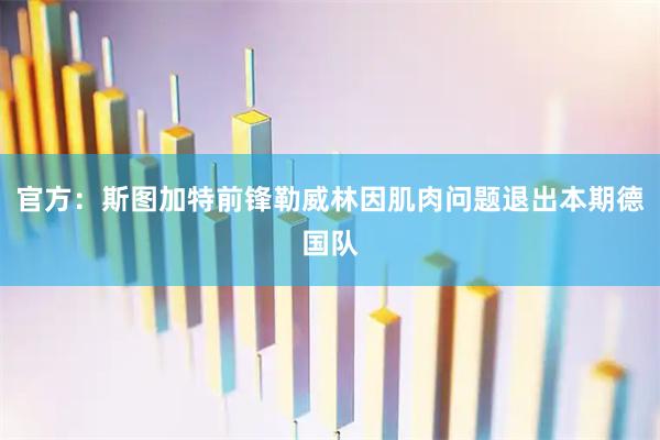 官方：斯图加特前锋勒威林因肌肉问题退出本期德国队